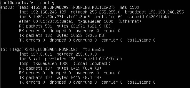 Ubuntu 18.04 LTS ifconfig