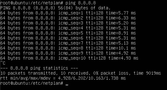 Ping Google DNS Server