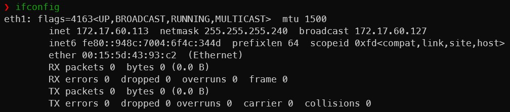 Server Hostname ifconfig
