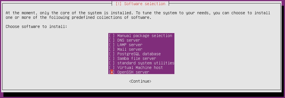 選擇安裝套件軟體_Choose software to install