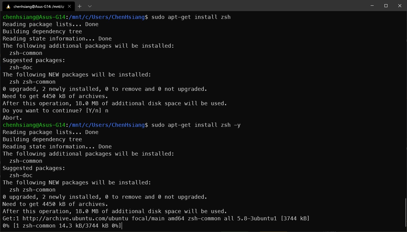 Install ZSH